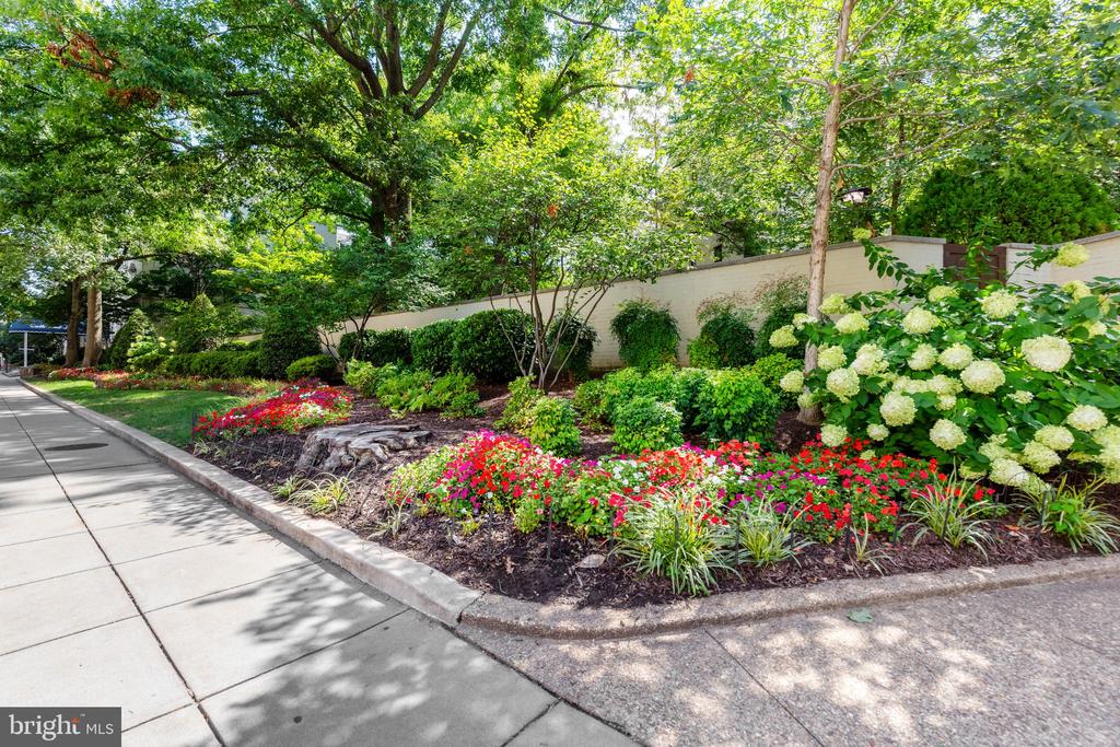 3100 CONNECTICUT AVENUE NW Unit: 230