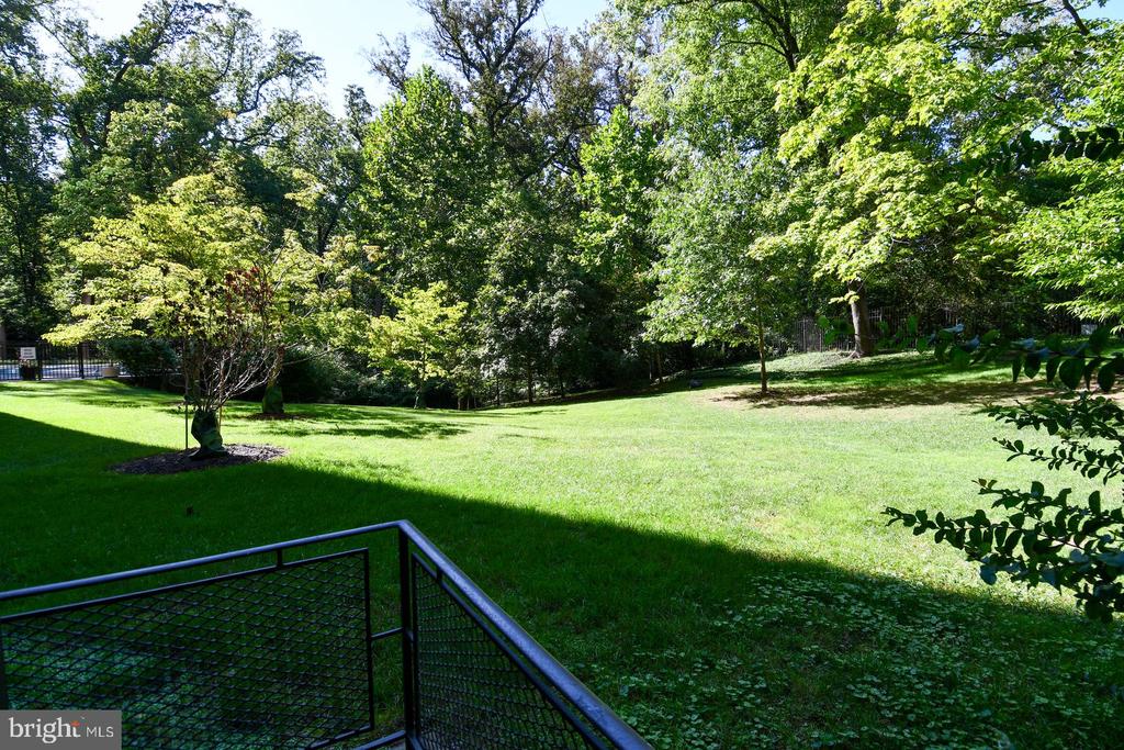 4101 CATHEDRAL AVENUE NW Unit: 107