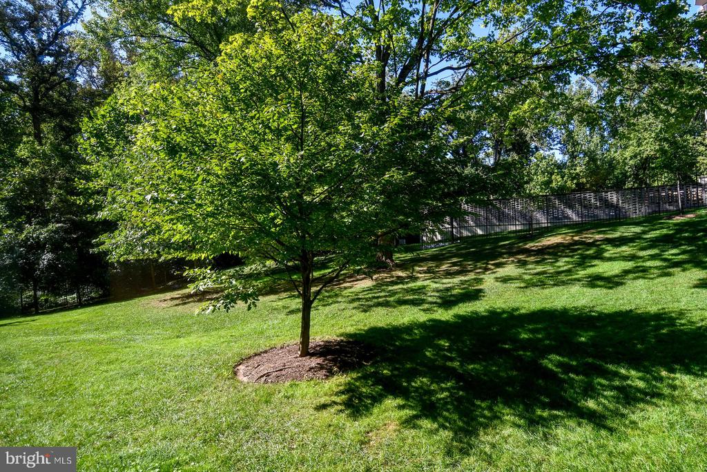 4101 CATHEDRAL AVENUE NW Unit: 107