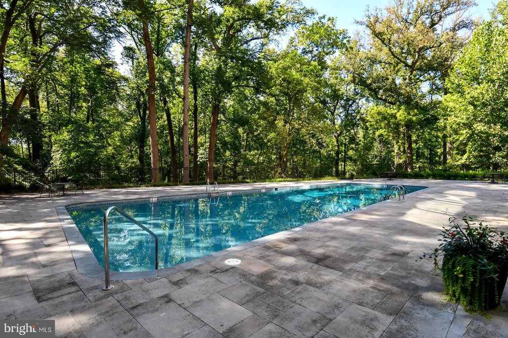 4101 CATHEDRAL AVENUE NW Unit: 107