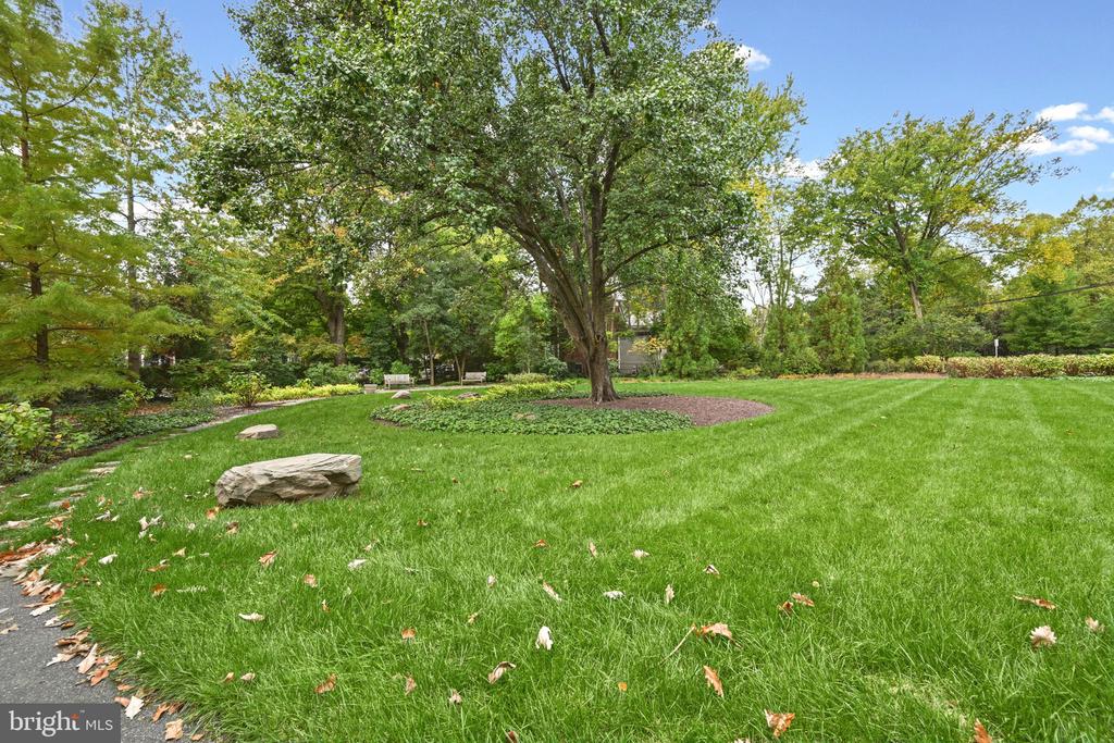 4600 CONNECTICUT AVENUE NW Unit: 222