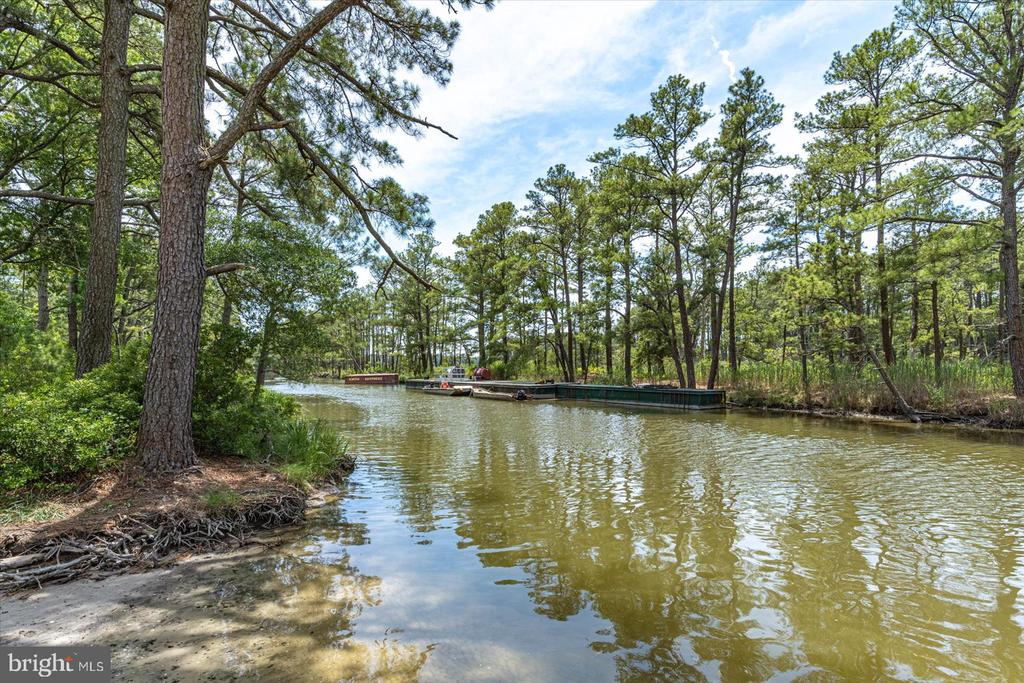 34008 ANNA MARIA DRIVE Unit: 115