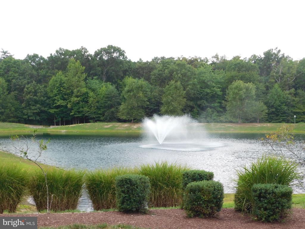 3215 SHADOW PARK LANE