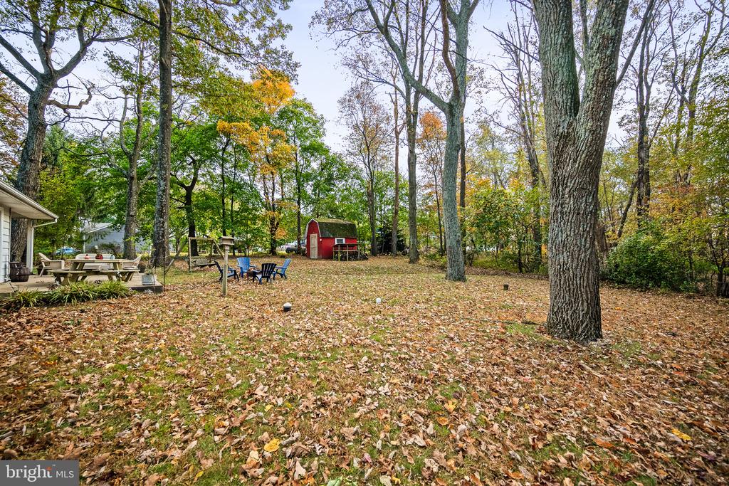 1229 BUCKHORN ROAD
