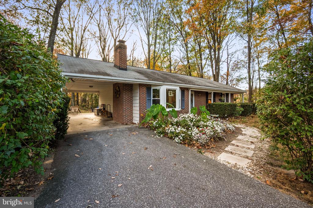 1229 BUCKHORN ROAD