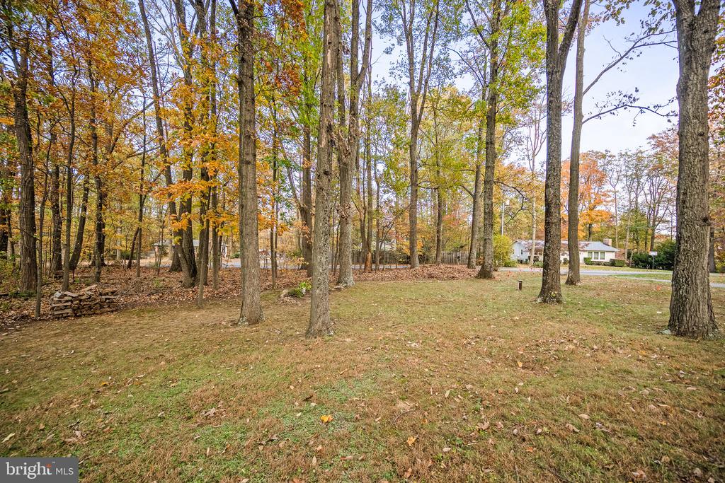 1229 BUCKHORN ROAD