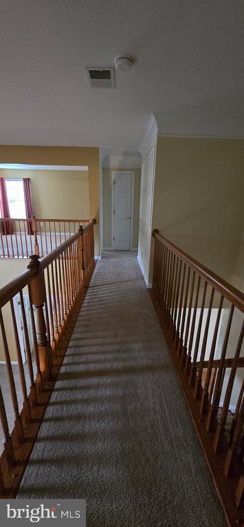 419 OSPREY CIRCLE