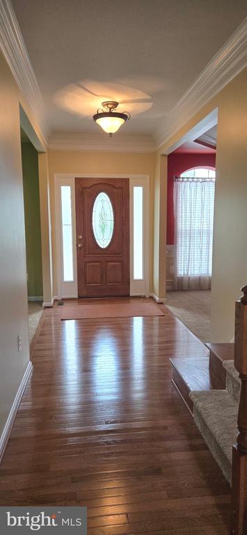 419 OSPREY CIRCLE