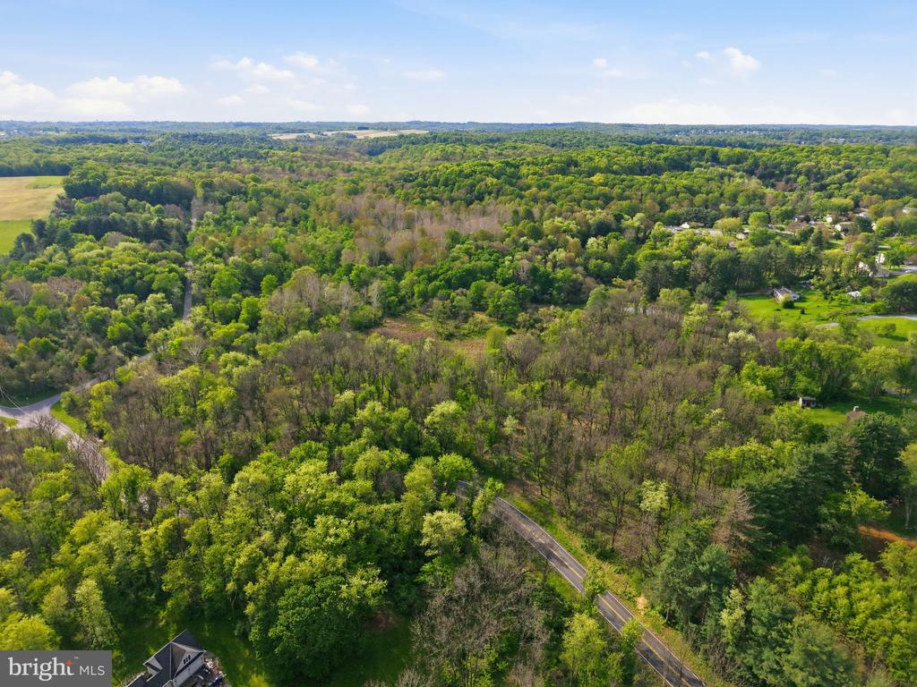 DETRICK ROAD Unit: LOT 19A