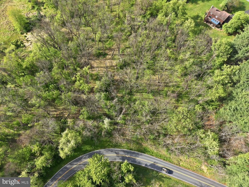 DETRICK ROAD Unit: LOT 19C