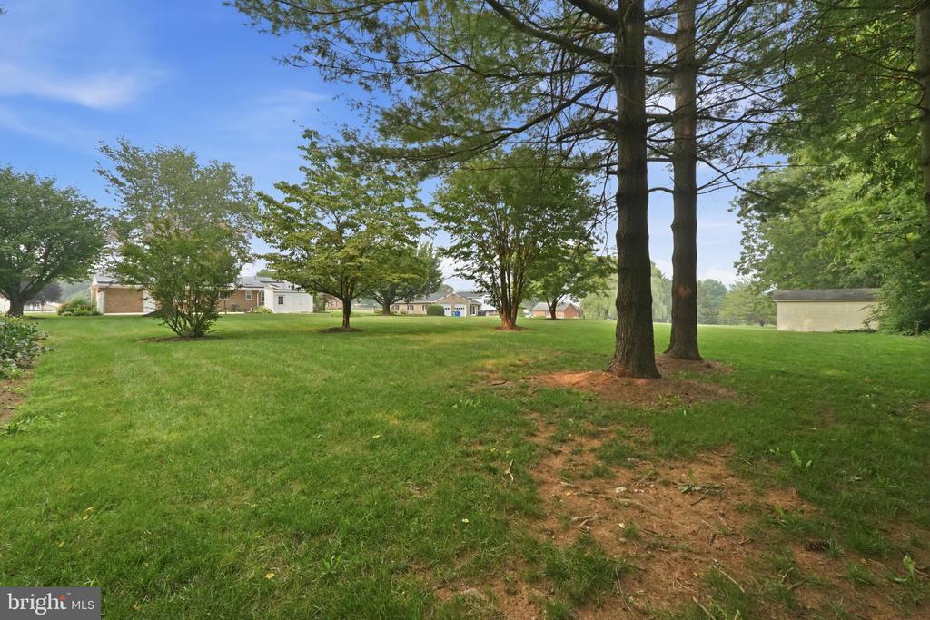 3405 LIVINGSTON DRIVE