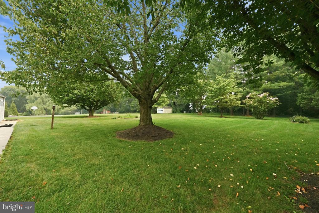 3405 LIVINGSTON DRIVE