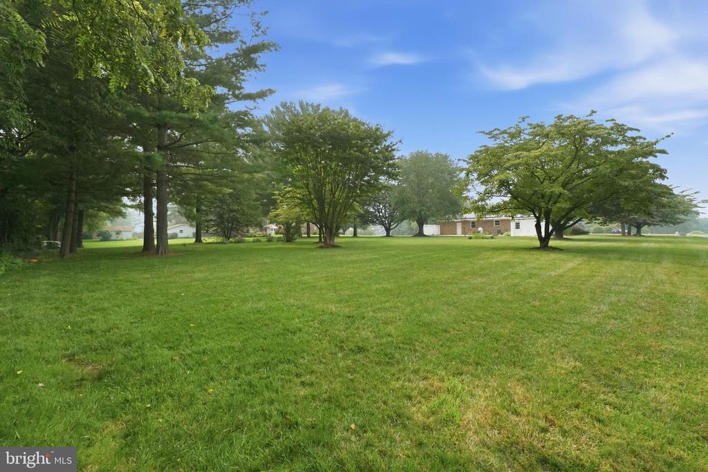 3405 LIVINGSTON DRIVE