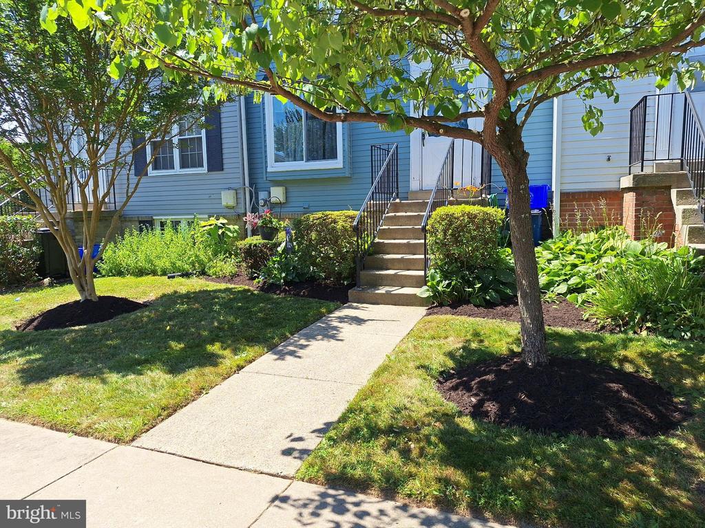 25104 TRALEE COURT Unit: D-3