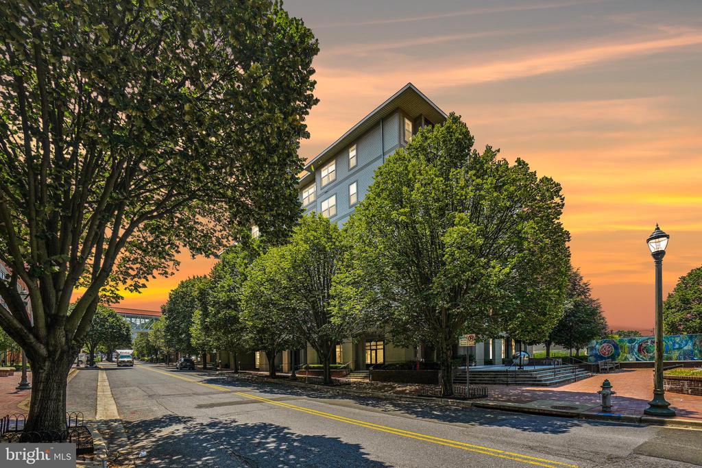 8045 NEWELL STREET Unit: 217