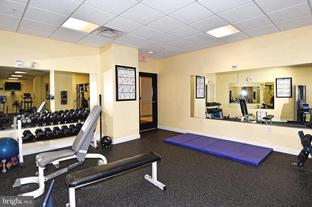 8045 NEWELL STREET Unit: 217
