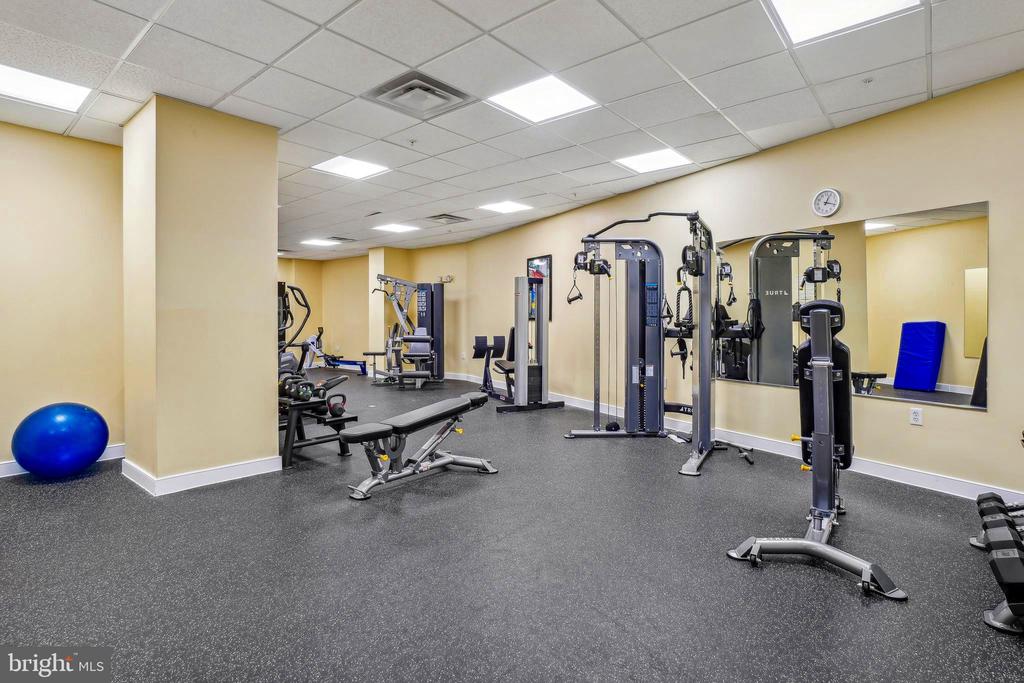 8045 NEWELL STREET Unit: 217