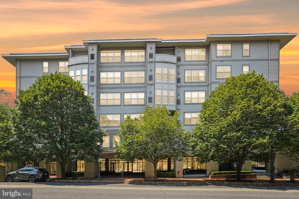 8045 NEWELL STREET Unit: 217