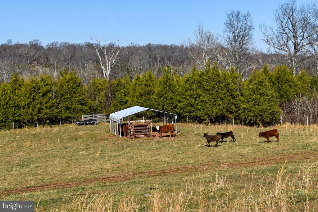 15010 BERRYVILLE ROAD