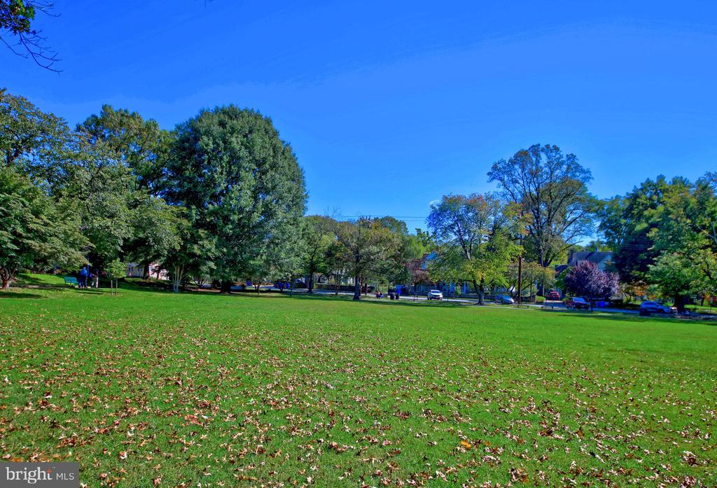 3705 DUPONT AVENUE