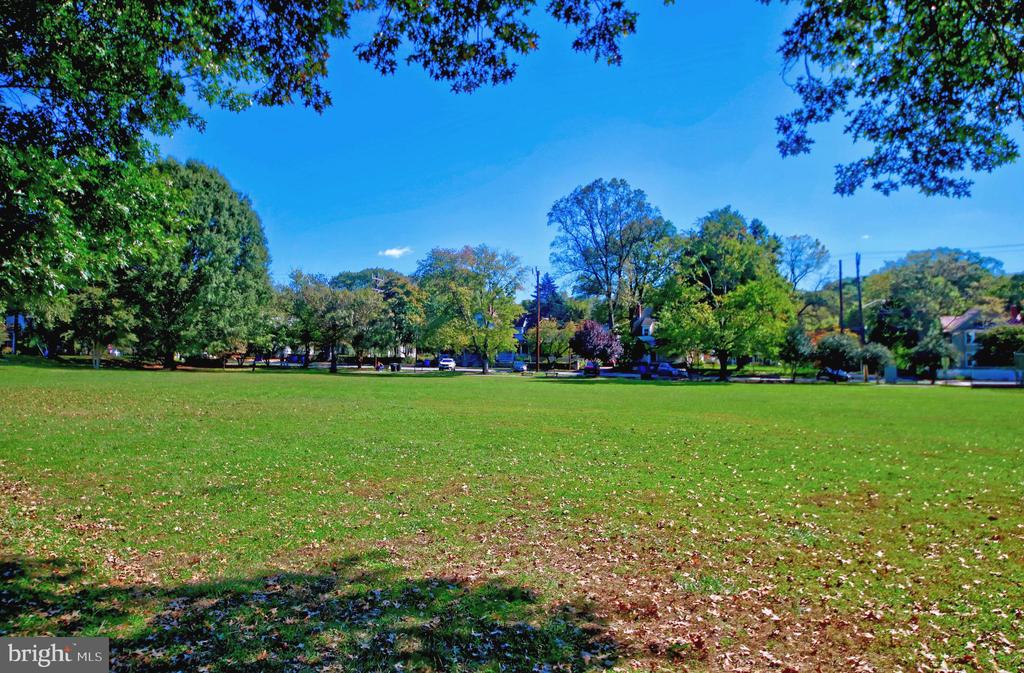 3705 DUPONT AVENUE