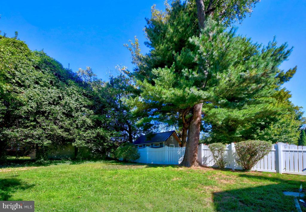 3705 DUPONT AVENUE