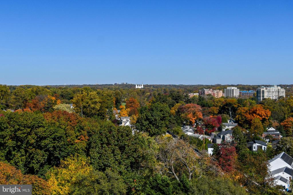 4242 E WEST HIGHWAY Unit: 609
