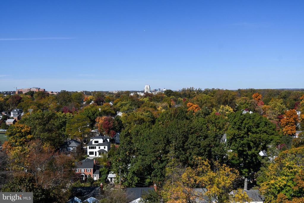 4242 E WEST HIGHWAY Unit: 609