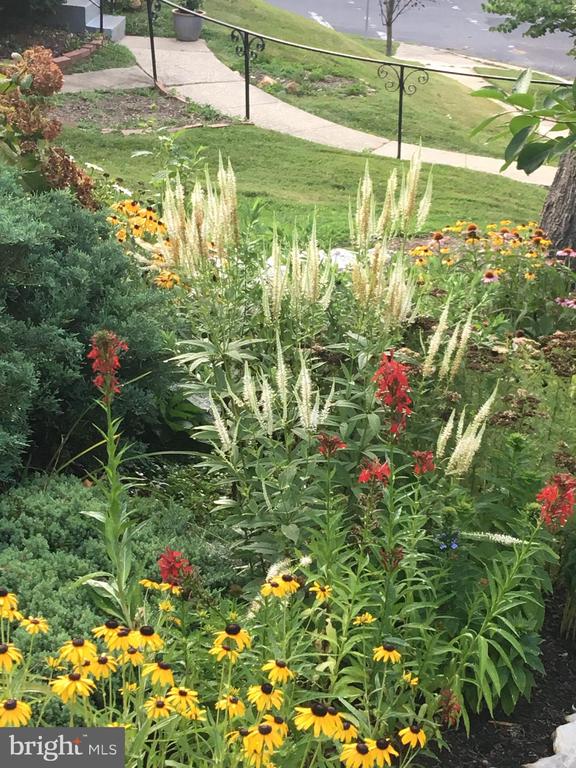 9016 WALDEN ROAD