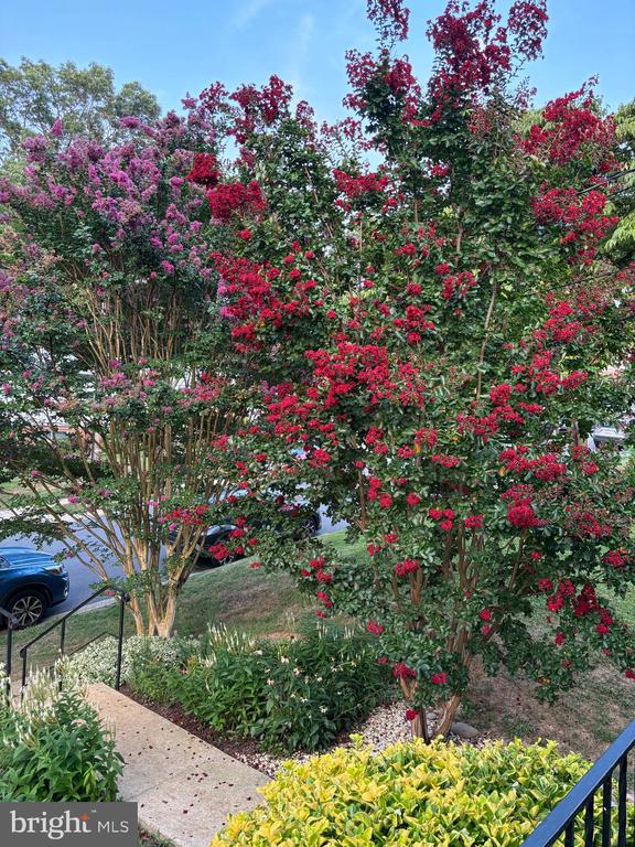 9016 WALDEN ROAD