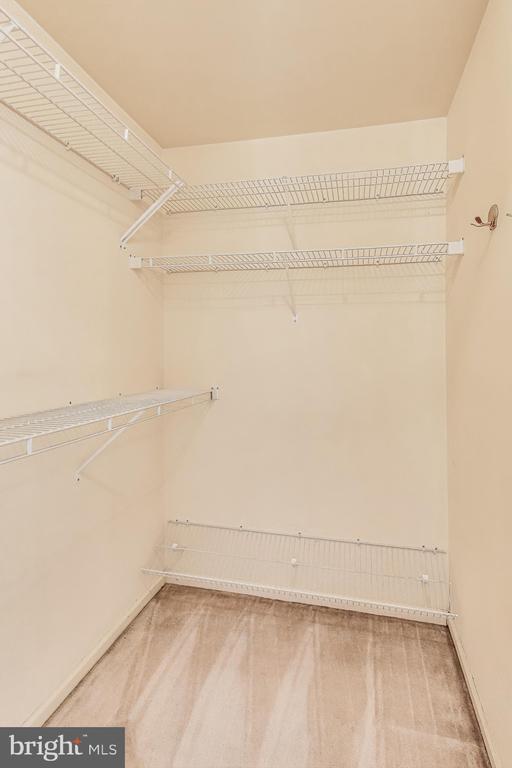 5 ARGOSY COURT