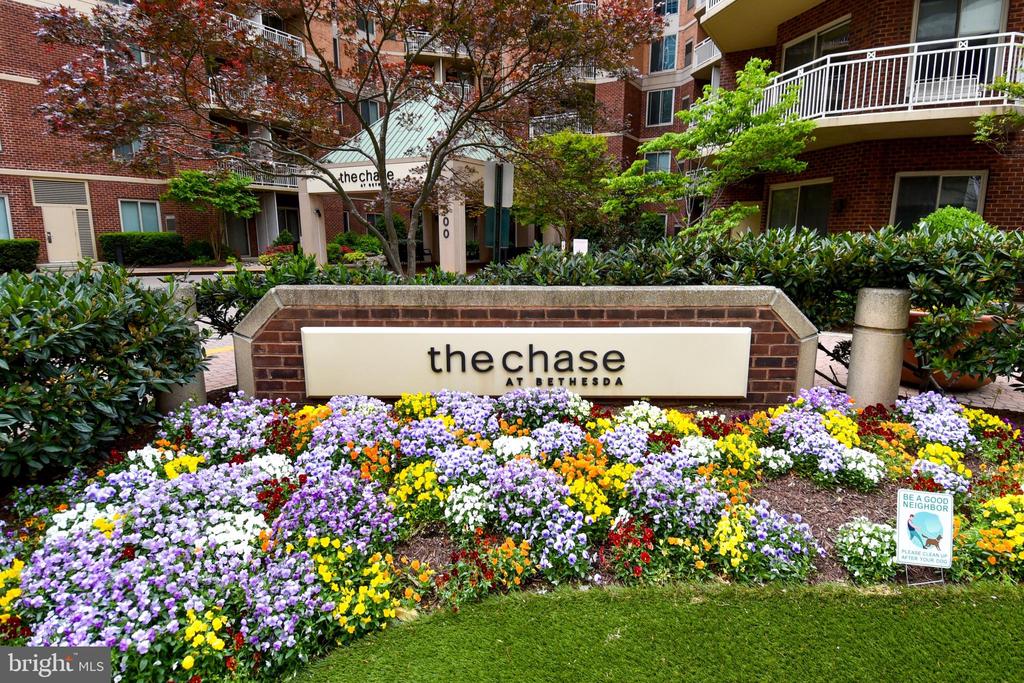7500 WOODMONT AVENUE Unit: S311
