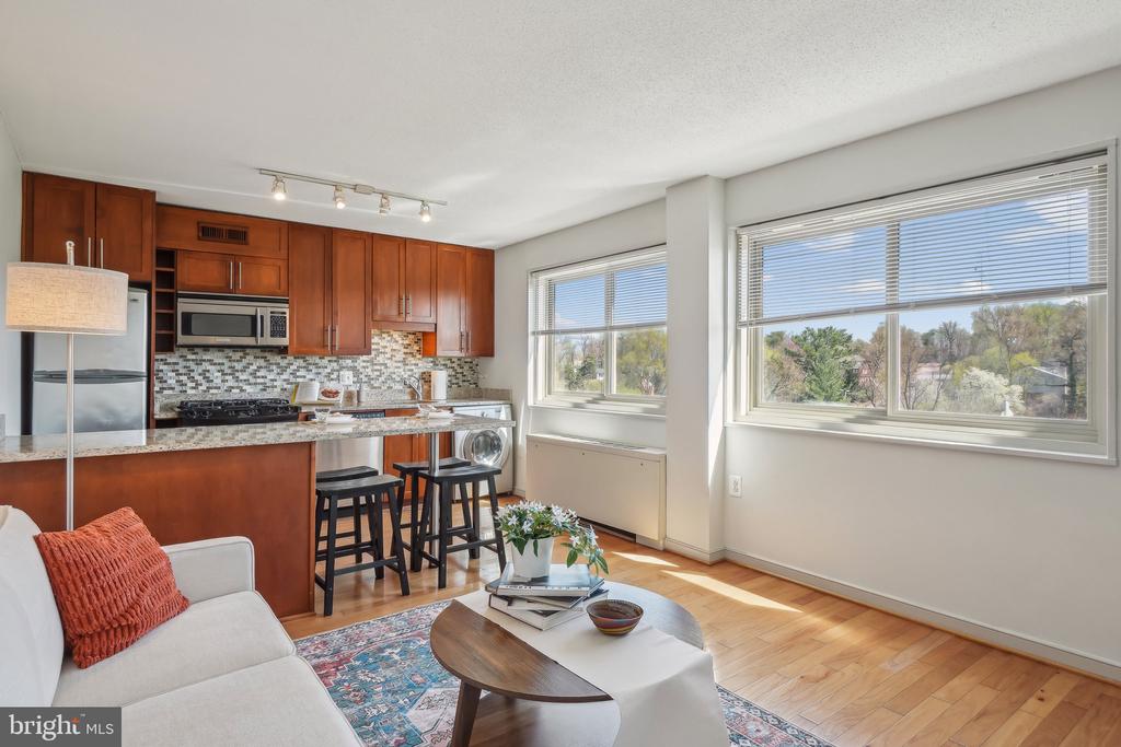 7333 NEW HAMPSHIRE AVENUE Unit: 808 S