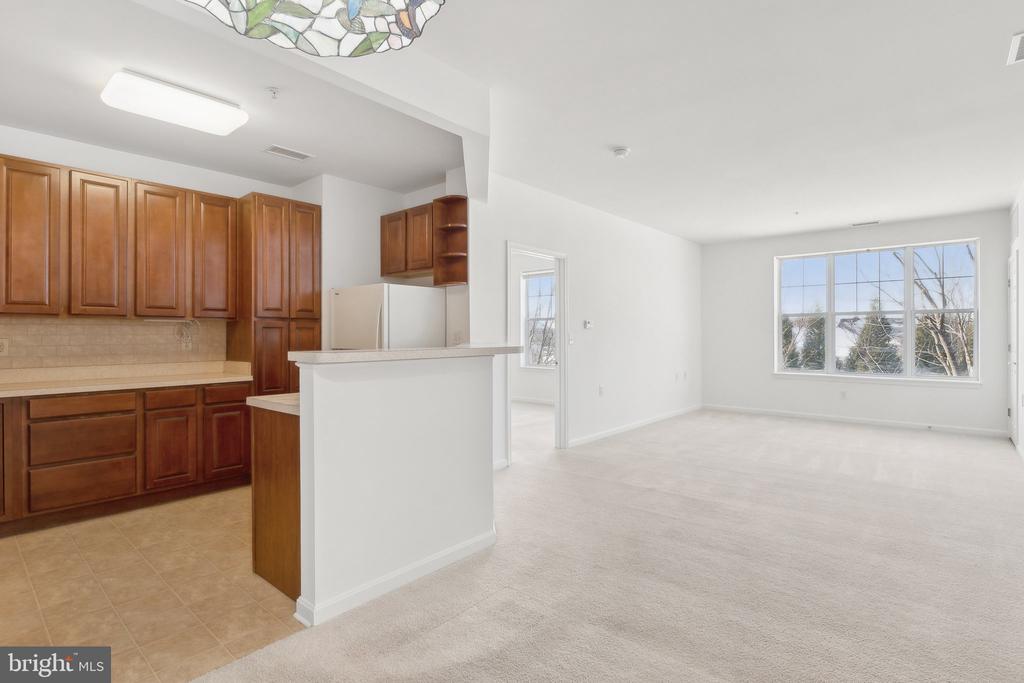 14301 KINGS CROSSING BOULEVARD Unit: 209