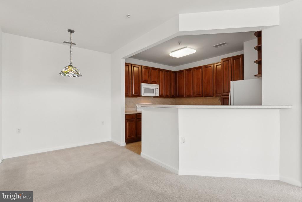 14301 KINGS CROSSING BOULEVARD Unit: 209