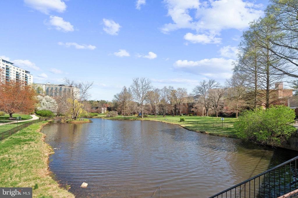 10440 ROCKVILLE PIKE Unit: 101