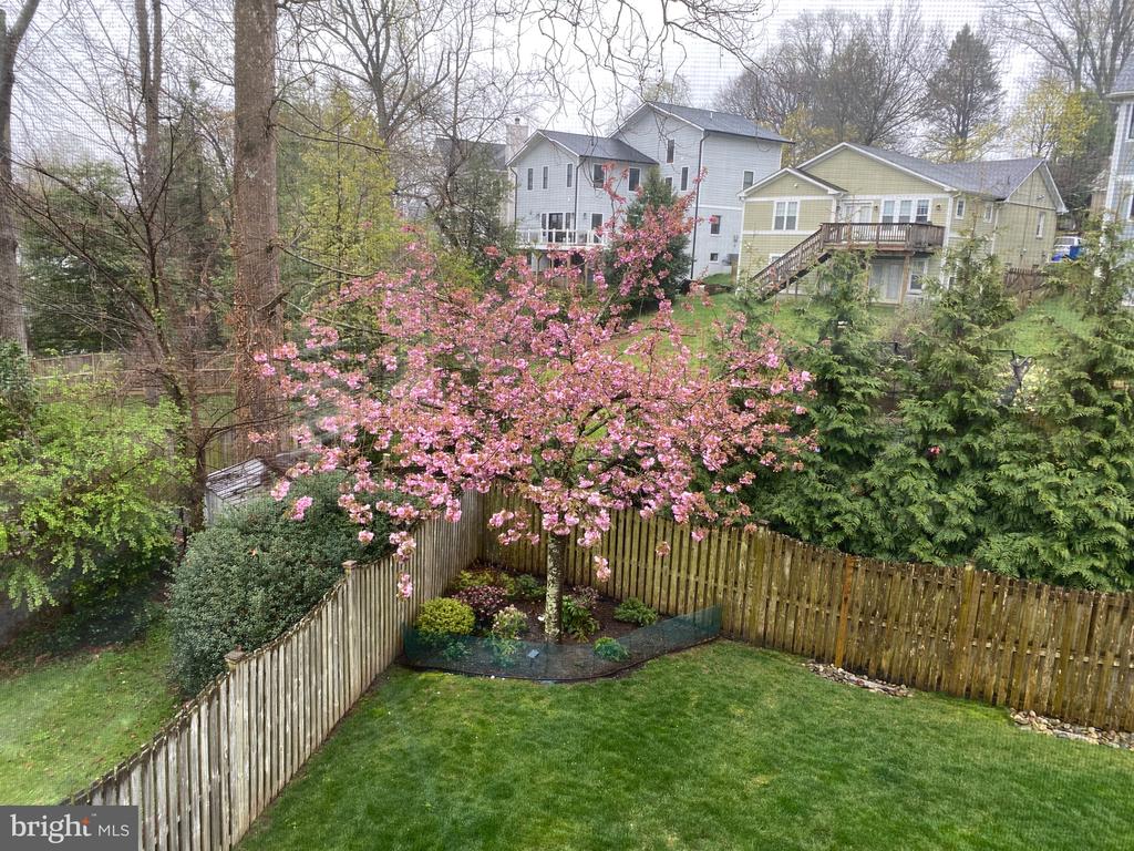 10223 OLDFIELD