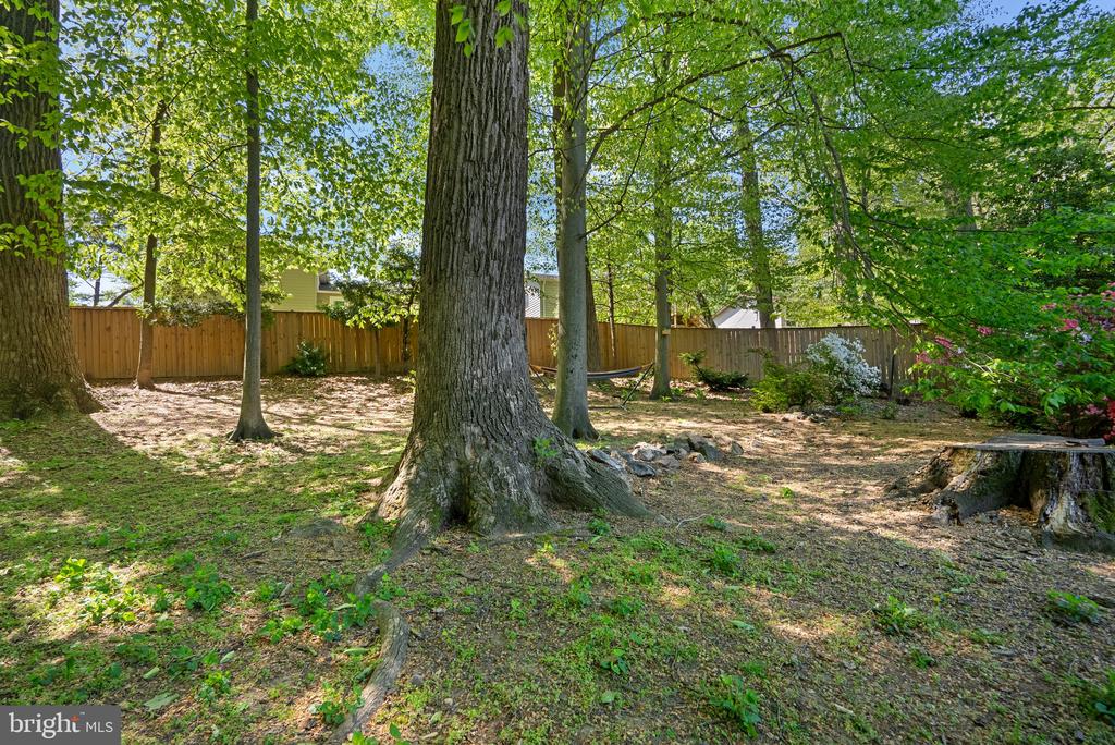 415 HILLMOOR DRIVE