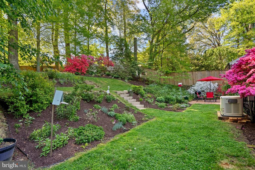 415 HILLMOOR DRIVE