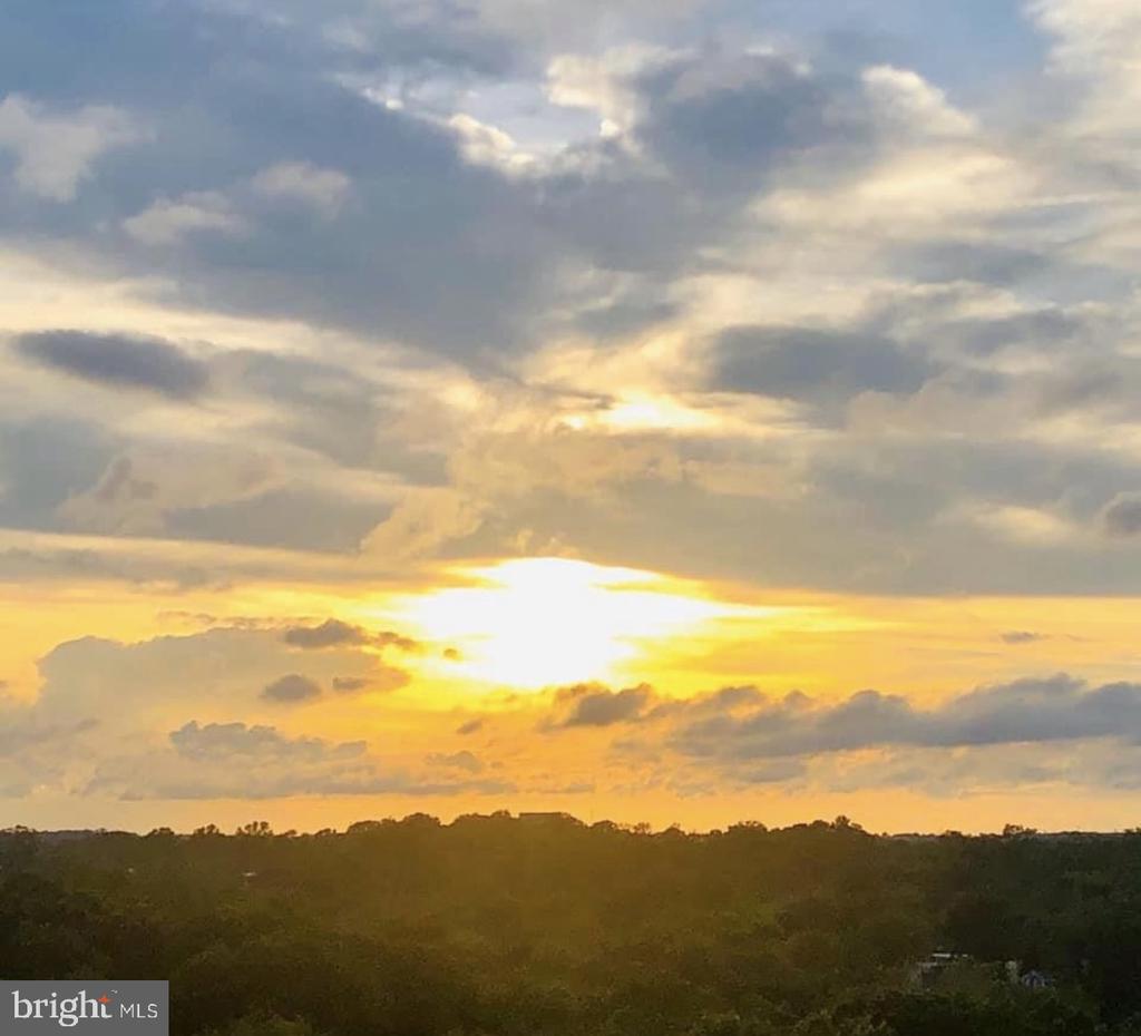 5225 POOKS HILL ROAD Unit: 1613S