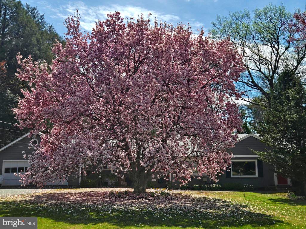 701 NOTLEY ROAD