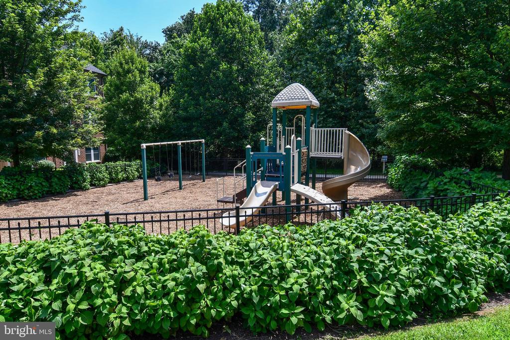 409 HYDRANGEA PLACE