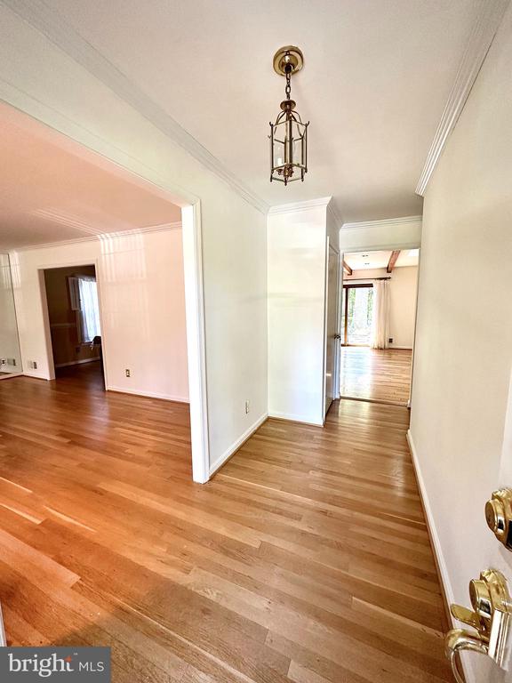 11903 HENRY FLEET DRIVE
