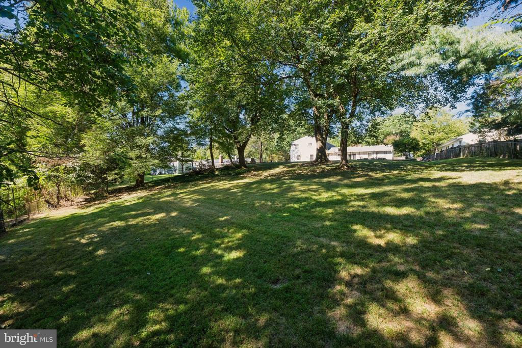 14009 BURNING BUSH LANE