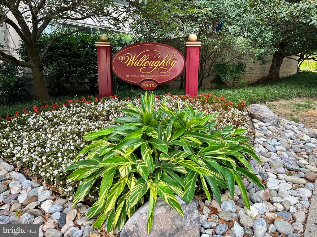 4515 WILLARD AVENUE Unit: 1203S