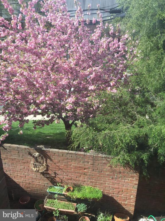 5139 WESTBARD AVENUE Unit: 21