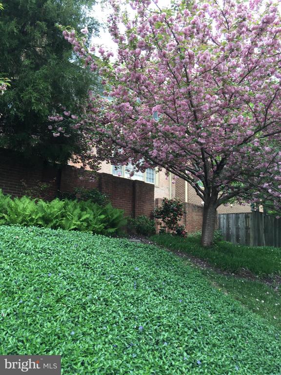 5139 WESTBARD AVENUE Unit: 21