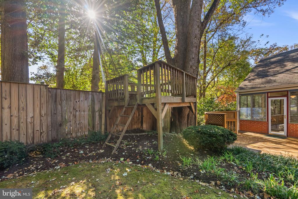 10319 CHERRY TREE LANE