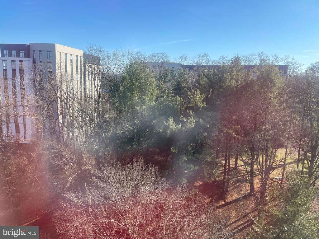 5225 POOKS HILL ROAD Unit: 828S