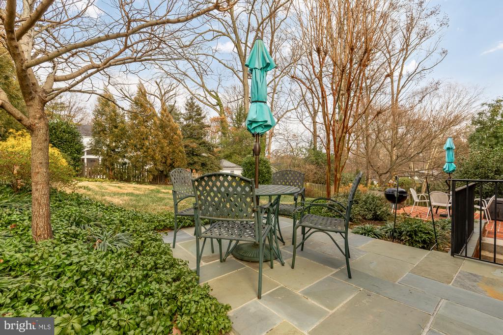 1511 LIVE OAK DRIVE